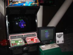 vectormame, zektor.com